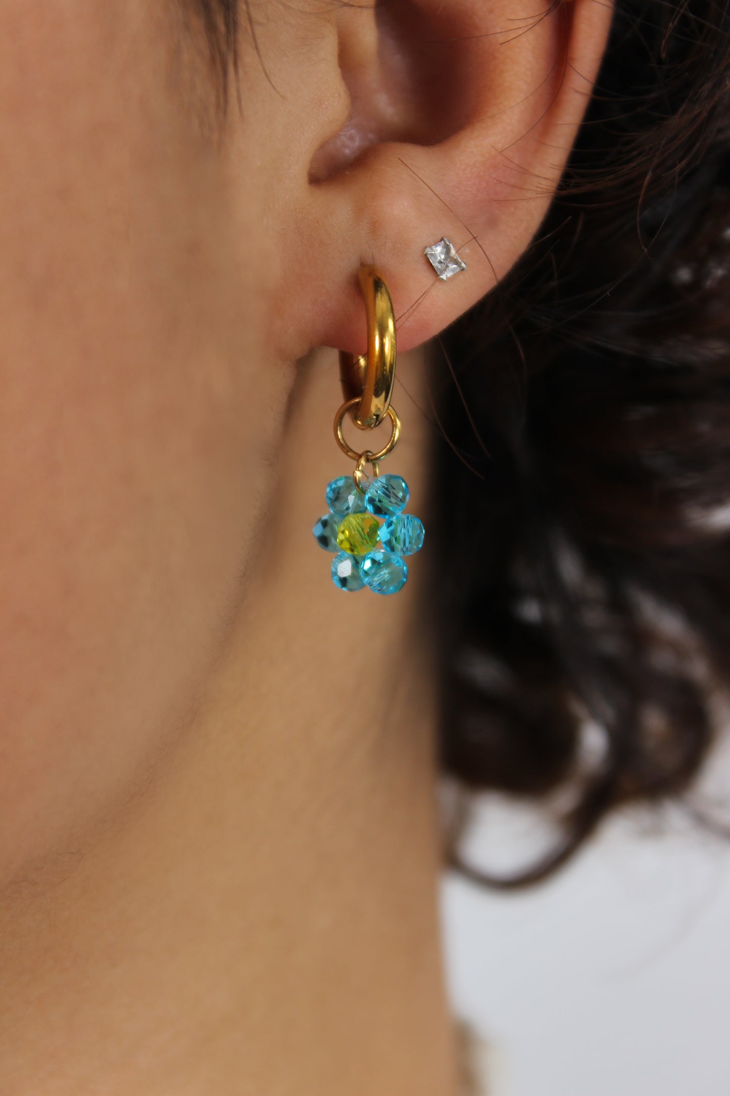 Vistoso Earrings